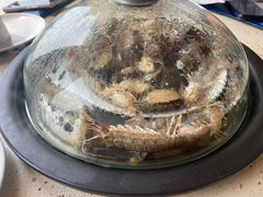 -港畔赶海蒸汽海鲜烧烤自助(仙螺岛店)
