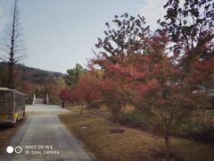 -南山风景名胜区
