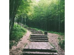 -紫金山天文台