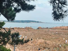 -青岛第二海水浴场