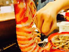 -鲜入围煮花胶鸡海鲜火锅