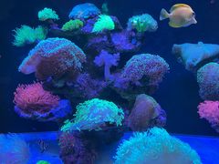 -海合安成都极地海洋公园