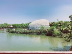 -上海吴淞炮台湾国家湿地公园
