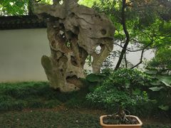 -上海醉白池公园