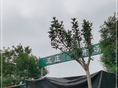 -王庄市场