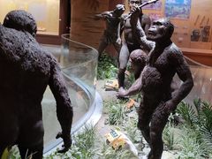 -国家自然博物馆