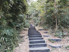 -青青世界
