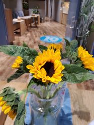 -卡莫瑜伽·普拉提