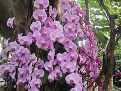 -北京植物园-展览温室