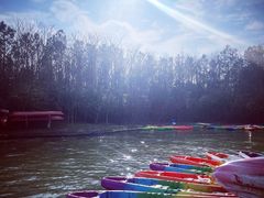 -上海海湾国家森林公园