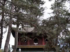 -普乐寺