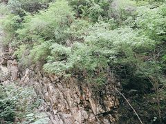-北京上方山国家森林公园