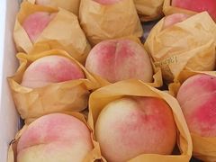 -南汇水蜜桃采摘(大团店)