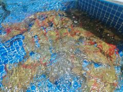 -皮记海鲜1995(寮步店)