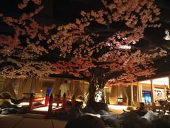 -蓝鲸湾汤泉(包河店)