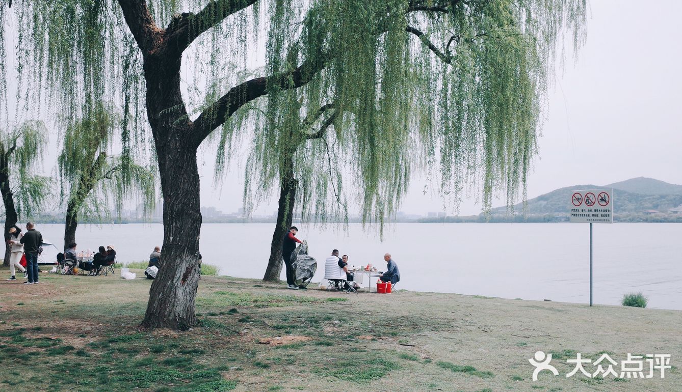 春风又绿江南岸，来蠡湖边走走吧！