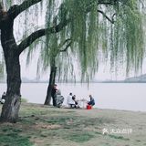 春风又绿江南岸，来蠡湖边走走吧！