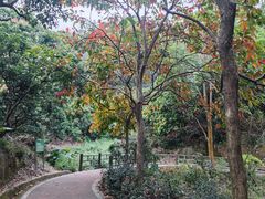 -东莞市大岭山森林公园