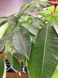 -水灵珑美容造型中心