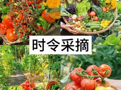 -世外桃源农庄·德清土菜(兴康南路店)