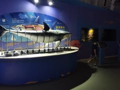 -烟台海昌鲸鲨海洋公园