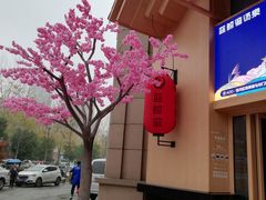 -蓝鲸湾汤泉(包河店)