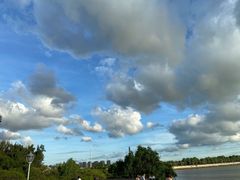 -宝安西湾红树林湿地公园