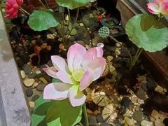 -徽镇小厨·经典徽菜(十里河店)