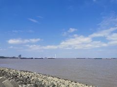 -上海滨江森林公园