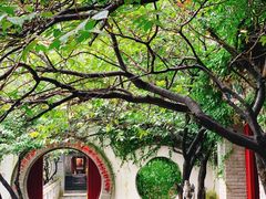 -老张烤羊(王哥庄店)