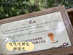 -青芝山风景名胜区