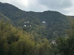 -宁海安岚·南溪阁全日餐厅