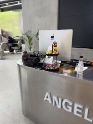 -ANGELHAND