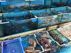 -拉威海鲜市场