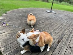 -桤木河湿地公园