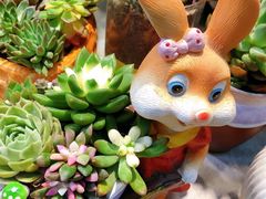 -双季花艺园艺市场(浦东店)