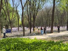 -东升八家郊野公园