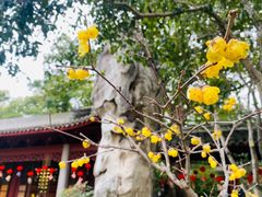 -天一阁博物院