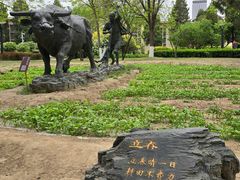 -中国农业博物馆
