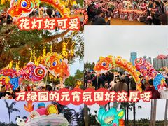 -万绿园