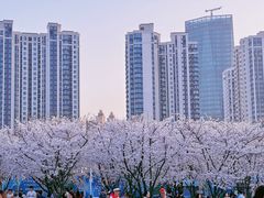 -龙美术馆(西岸馆)