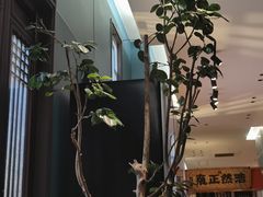 -福照楼汽锅鸡·云南菜(护国路店)