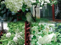 -苏州园林博物馆