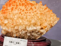 -湖南省地质博物馆