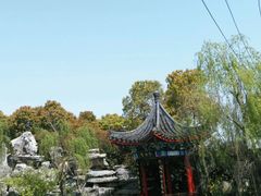 -南汇桃花村