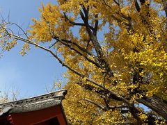 -浮来山风景区