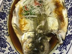 清蒸大白鱼-三品尚院(贝勒府旧址店)