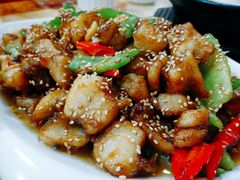 -煲来饱去冷水鱼