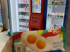 -远洋未来汇