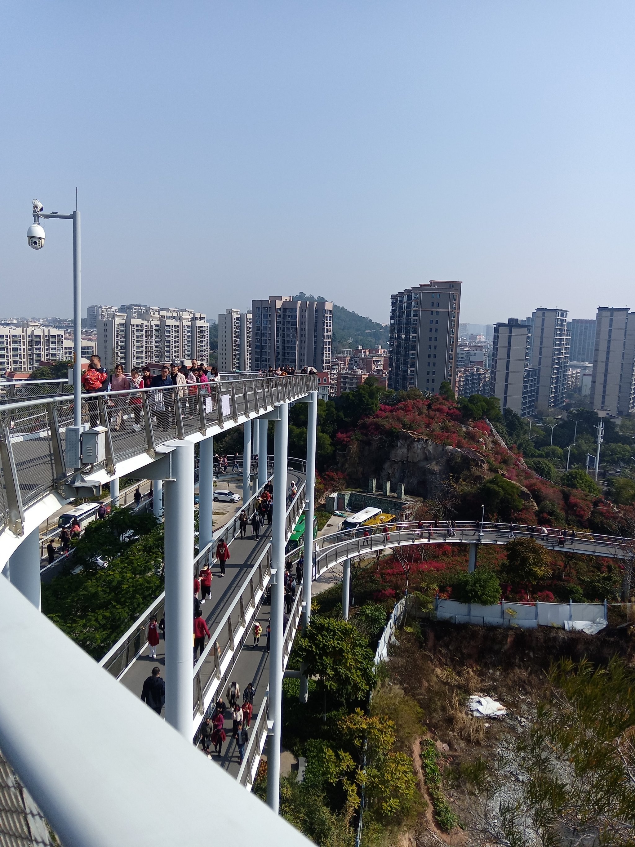 观音寺是厦门有数的大型寺院,逢年过节的很多香客来此